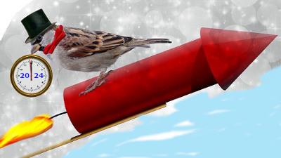 spatz mit rakete 2024