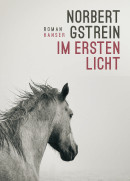 Norbert Gstrein, Im ersten Licht