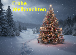 Weihnachtsbaum in Winterlandschaft